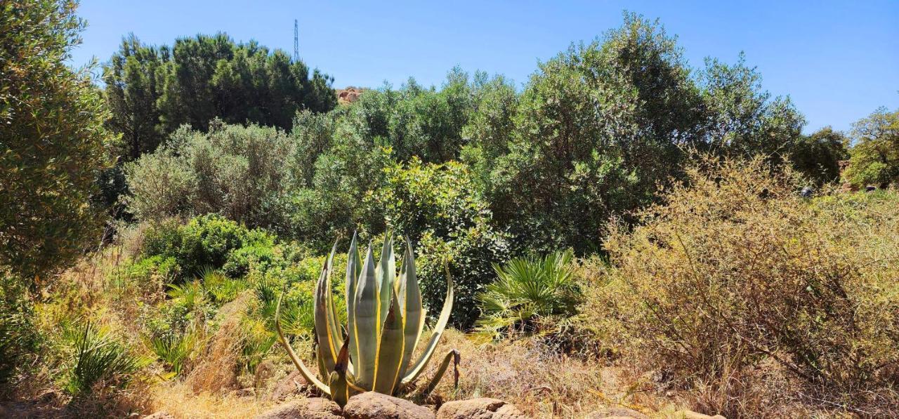 Complejo Rural Los Pedregales Estepona Exterior foto